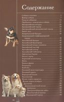 Собаки. Популярный иллюстрированный гид — фото, картинка — 4