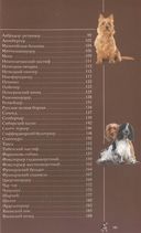 Собаки. Популярный иллюстрированный гид — фото, картинка — 5