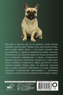 Собаки. Популярный иллюстрированный гид — фото, картинка — 6