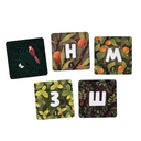 Шёпот леса — фото, картинка — 9