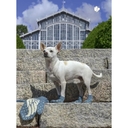 Дизайнерский жаккард: Вяжем варежки и носочки на спицах! — фото, картинка — 2