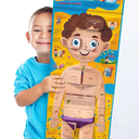 Что внутри человека? Анатомия — фото, картинка — 4