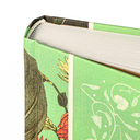 Грозовой перевал — фото, картинка — 2