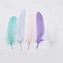 Перо гусиное обработанное 