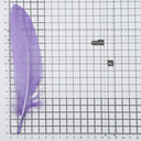 Перо гусиное обработанное 