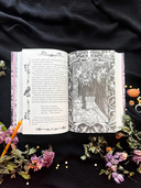 Тёмные сказки братьев Гримм — фото, картинка — 9