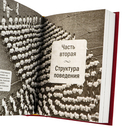 Искусство управленческой борьбы. Технологии перехвата и удержания управления — фото, картинка — 5