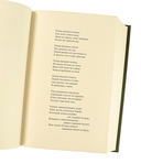 Духовка Сильвии Плат. Дилогия — фото, картинка — 4