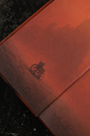 Шагатели — фото, картинка — 8