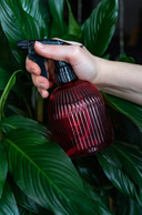 Опрыскиватель для комнатных растений 