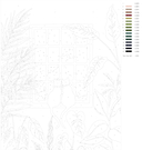 Картина по номерам 