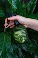 Опрыскиватель для комнатных растений 