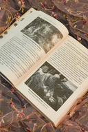 Легенды о любви и гибели. Древние предания и их история в мировом фольклоре — фото, картинка — 4