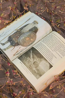 Легенды о любви и гибели. Древние предания и их история в мировом фольклоре — фото, картинка — 5