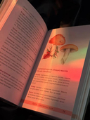 Грибы русского леса. Иллюстрированный определитель — фото, картинка — 2