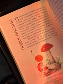 Грибы русского леса. Иллюстрированный определитель — фото, картинка — 3