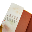 Зимняя бегония. Том 2 — фото, картинка — 2