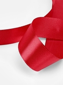 Декоративная атласная лента 