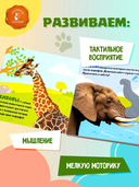 Дикие животные — фото, картинка — 3