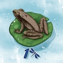 Кохаку — фото, картинка — 3