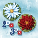 Кохаку — фото, картинка — 4