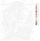 Картина по номерам 