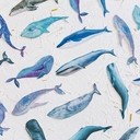 Набор закладок 