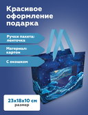 Пакет бумажный подарочный 