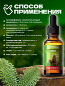 Эфирное масло водорастворимое 