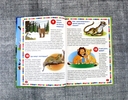 Животные. Энциклопедия для детей от 5 до 9 лет — фото, картинка — 1