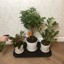 Поддон универсальный (37х70 см) — фото, картинка — 4