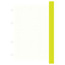 Сменный блок в клетку (А5; 120 листов; с цветными краями) — фото, картинка — 1