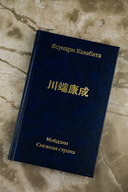 Мэйдзин. Снежная страна — фото, картинка — 4