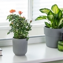 Горшок с дренажной системой 