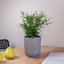 Горшок с дренажной системой 