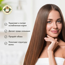 Шампунь-настой для волос 