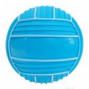 Мяч пляжный надувной (22 см; арт. GP-T22) — фото, картинка — 1