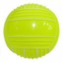 Мяч пляжный надувной (22 см; арт. GP-T22) — фото, картинка — 3