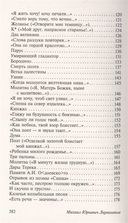 Стихотворения и поэмы — фото, картинка — 3