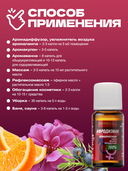 Аромакомпозиция натуральных эфирных масел 