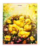 Тетрадь в линейку 