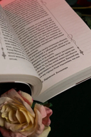 Собор Парижской Богоматери — фото, картинка — 8