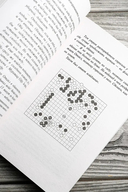 Мэйдзин — фото, картинка — 6