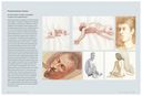 Основы анатомии человека. Наглядное руководство для художников — фото, картинка — 2