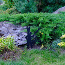 Фигура садовая 