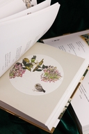 Мир в капле. Комплект из 2 книг — фото, картинка — 2