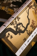 Мир в капле. Комплект из 2 книг — фото, картинка — 6