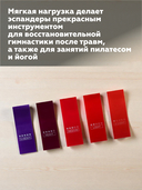 Набор ленточных эспандеров 