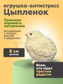 Игрушка-антистресс 