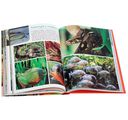 Моя большая книга о животных — фото, картинка — 9
